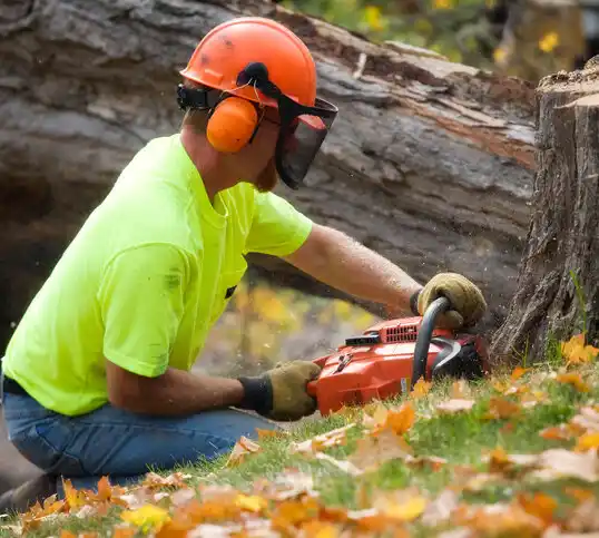 tree services Neptune City